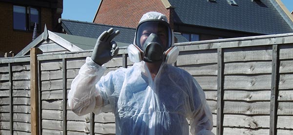 Pest Control Folkestone